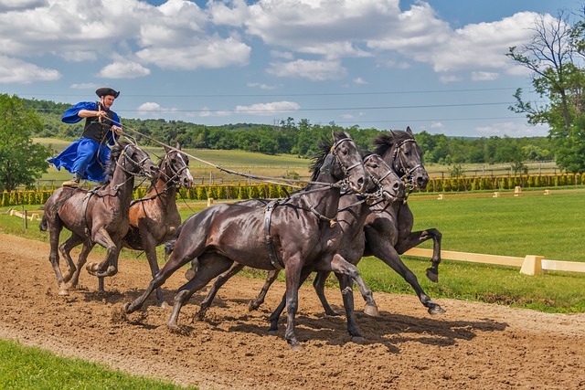 Handicapping in Horse Racing ﻿